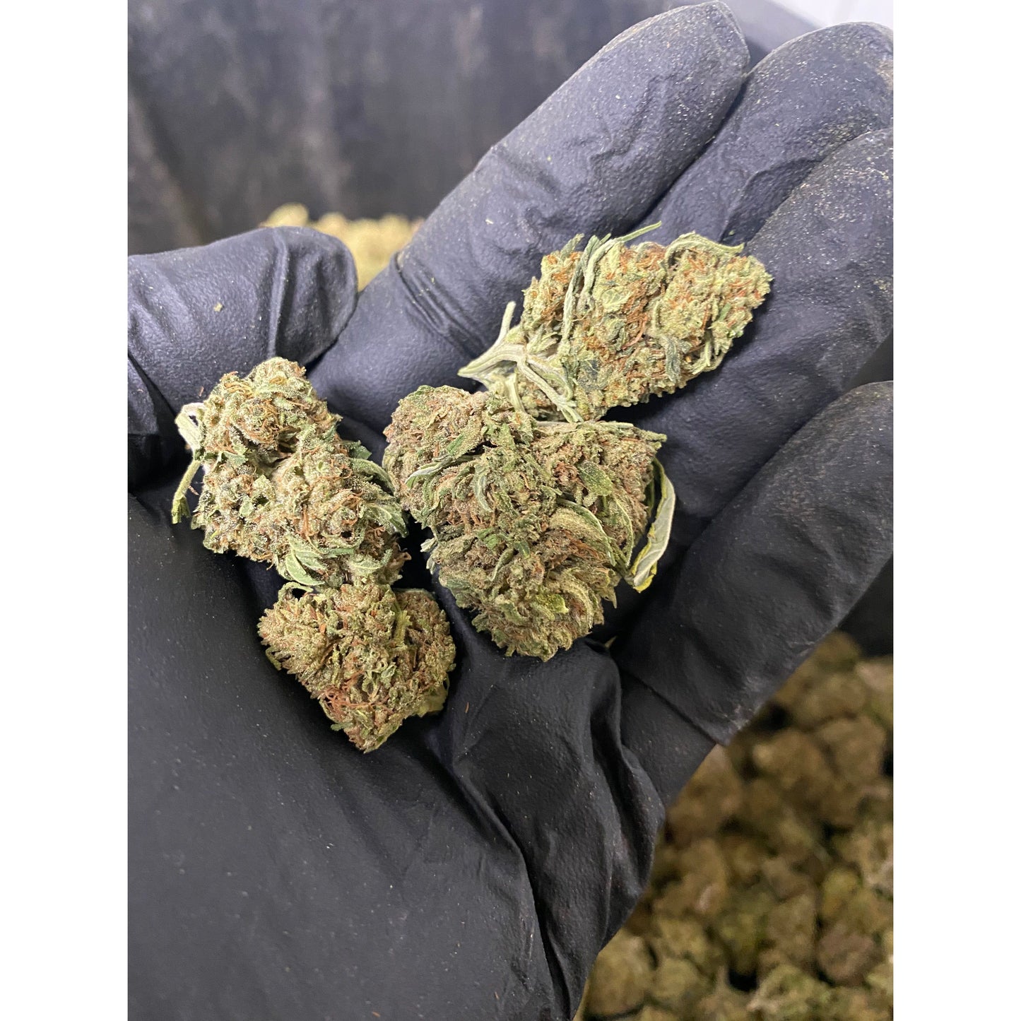 Bubba Berry Hemp Flower