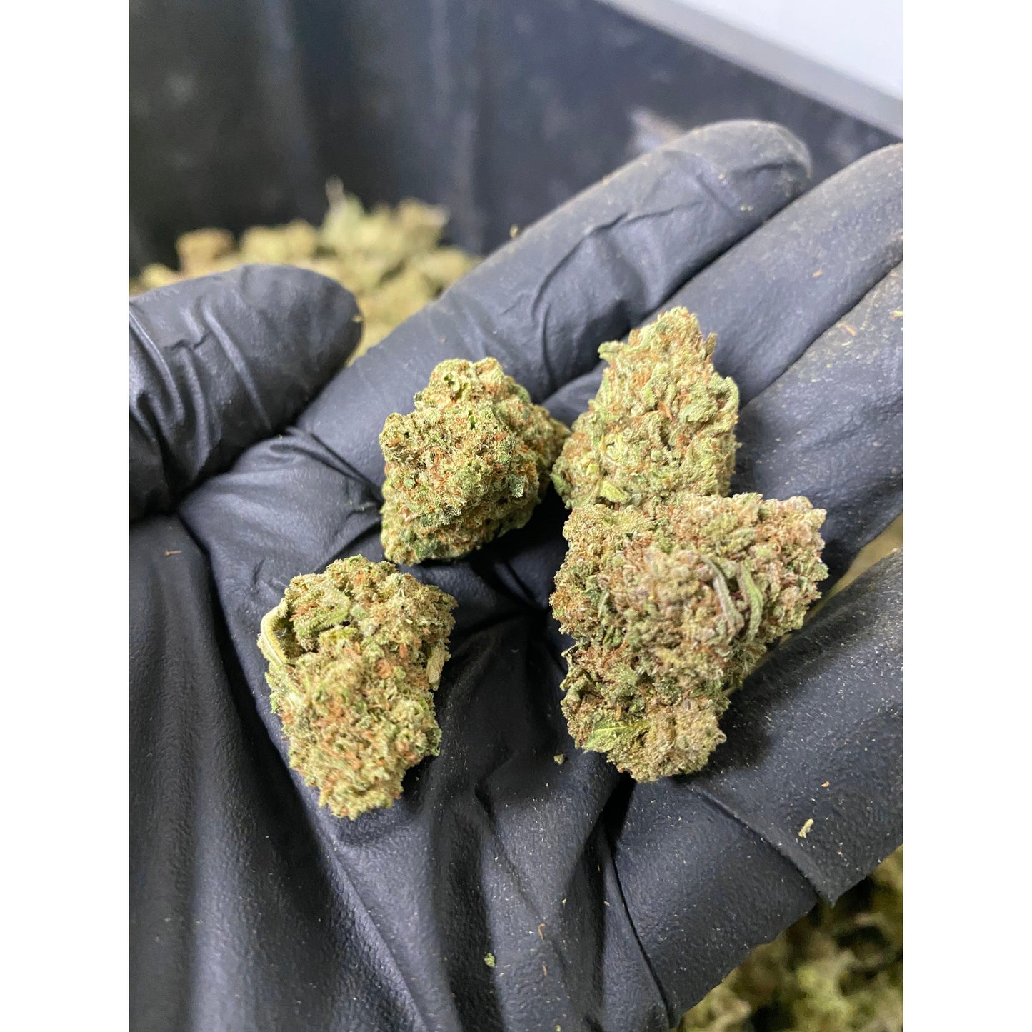 Frosted Lime CBD Flower