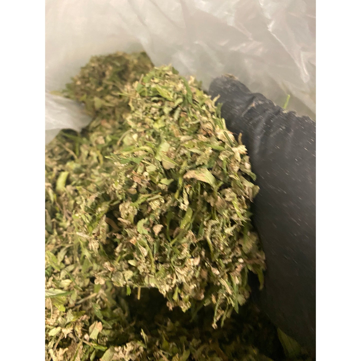 Hemp Trim and Shake - Multiple Strains Available