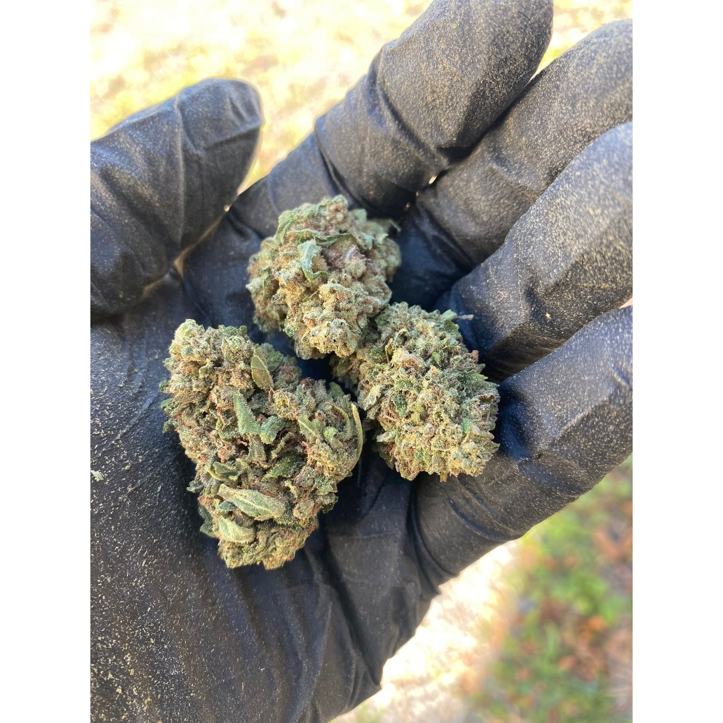 Frosted Kush CBD Flower