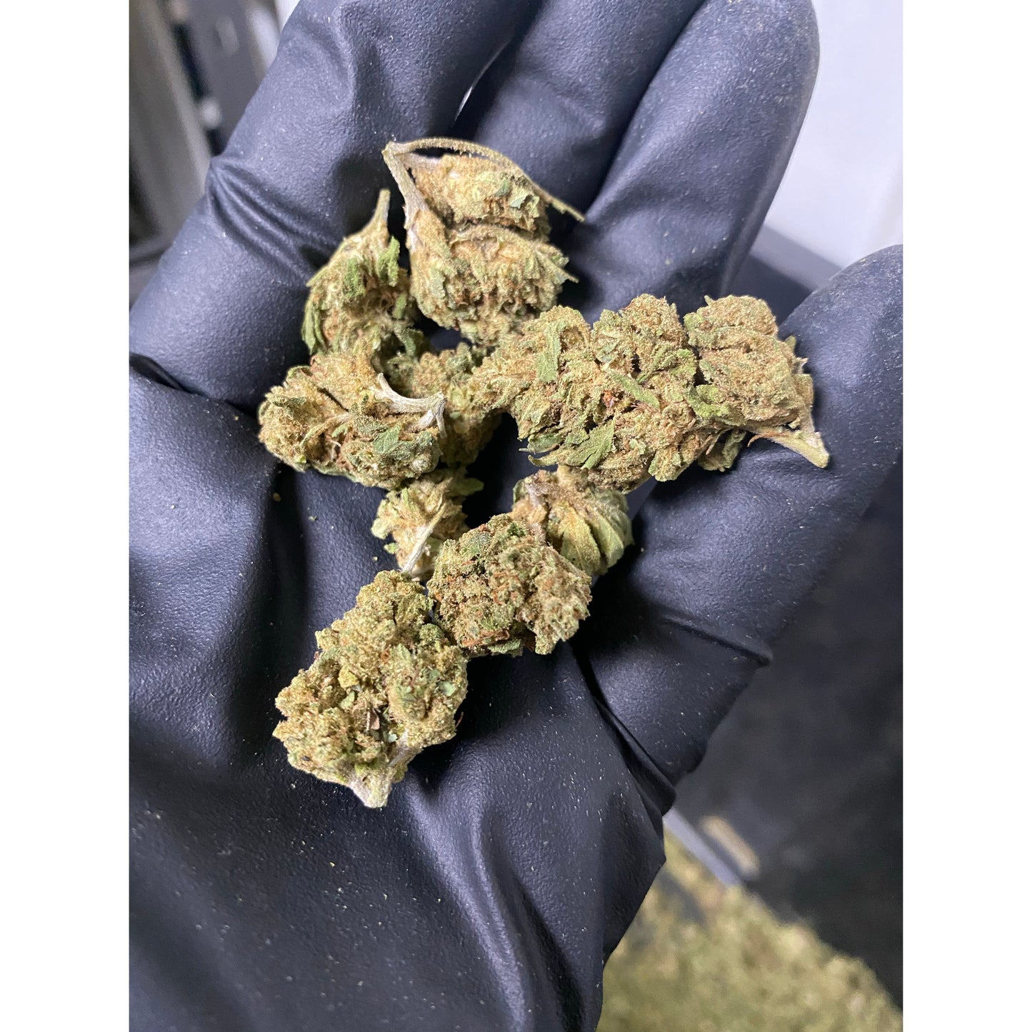 2021 The Wife Hemp Flower