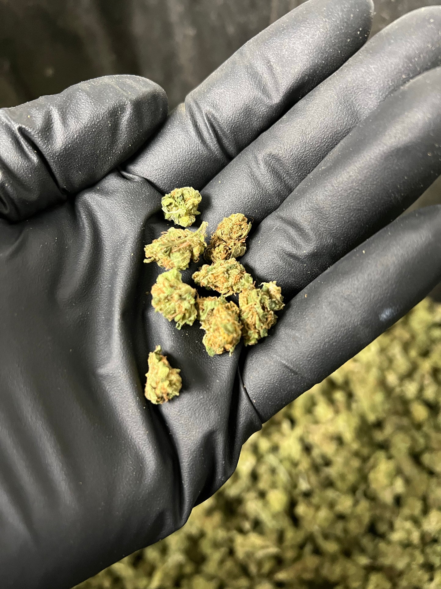 Suver Haze Smalls