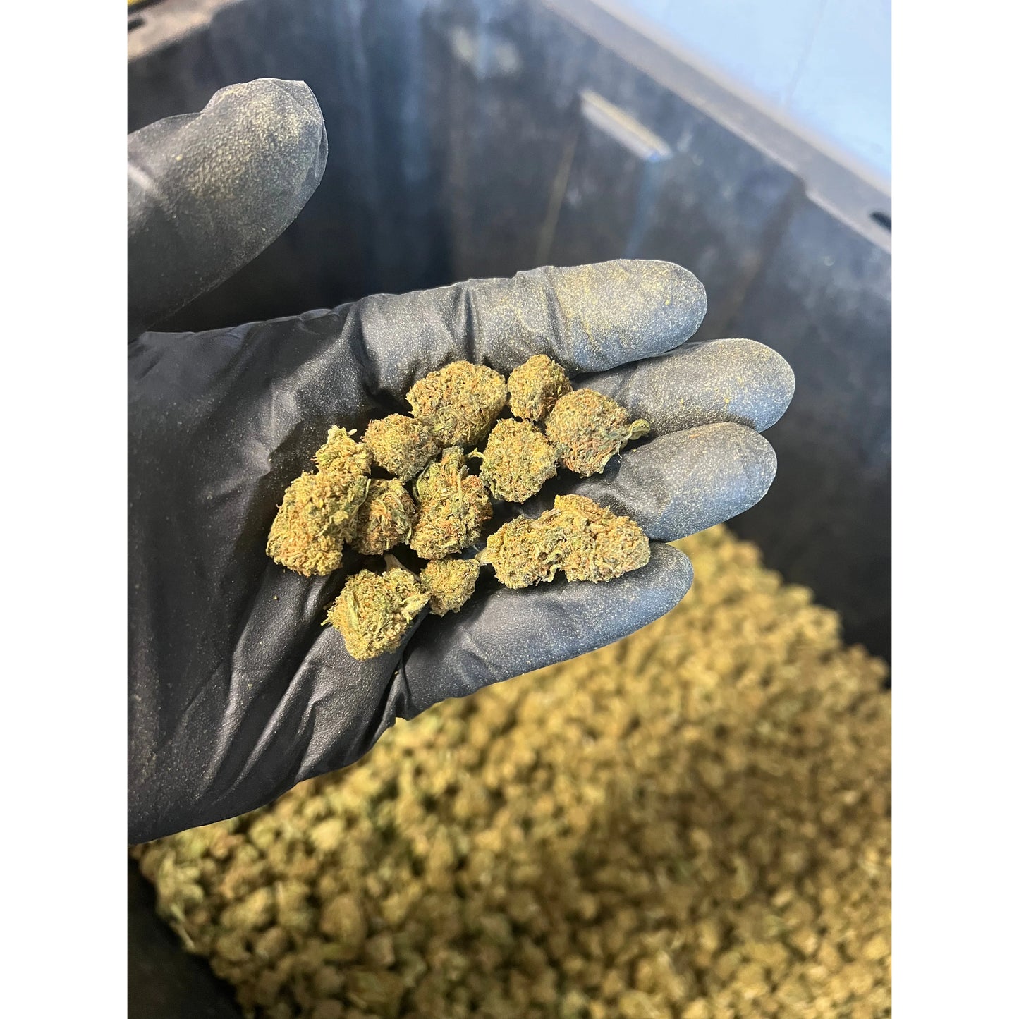 Lemon Cake Hemp Flower Smalls