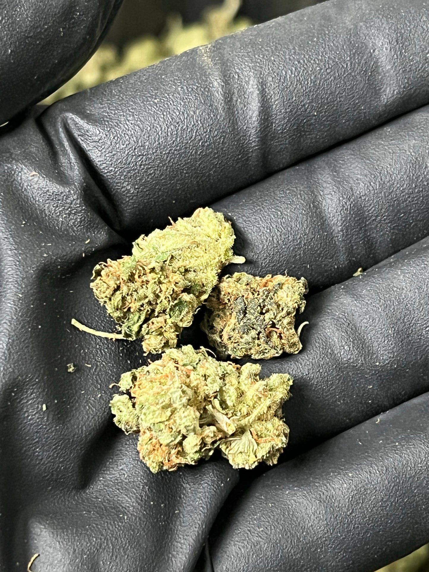 Suver Haze Smalls