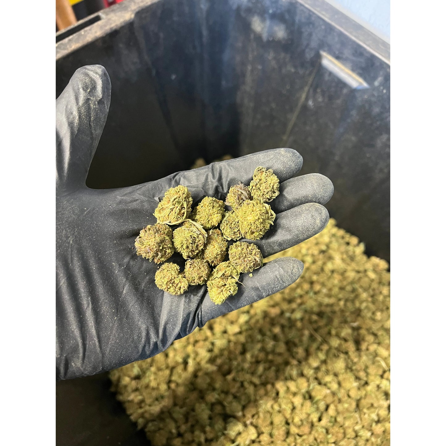 Bubba Kush Hemp Flower Smalls