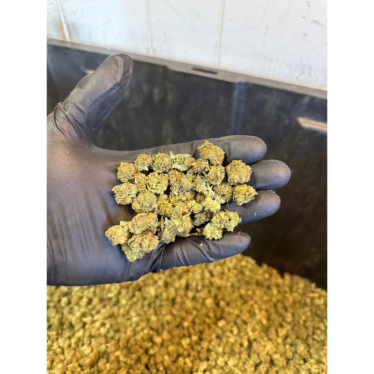 Sour Kandy Kush Hemp Flower Smalls