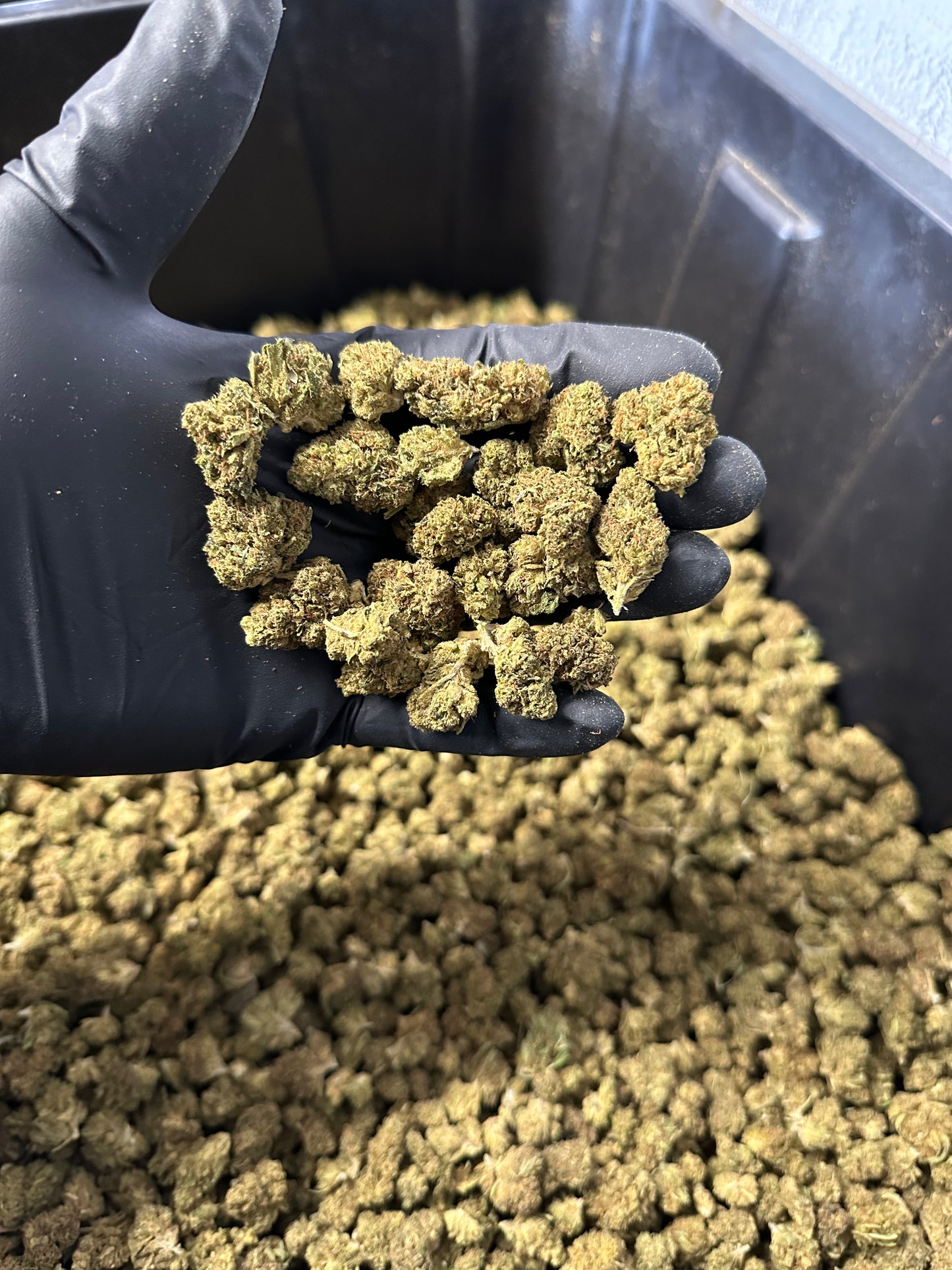 Lifter Smalls Hemp Flower