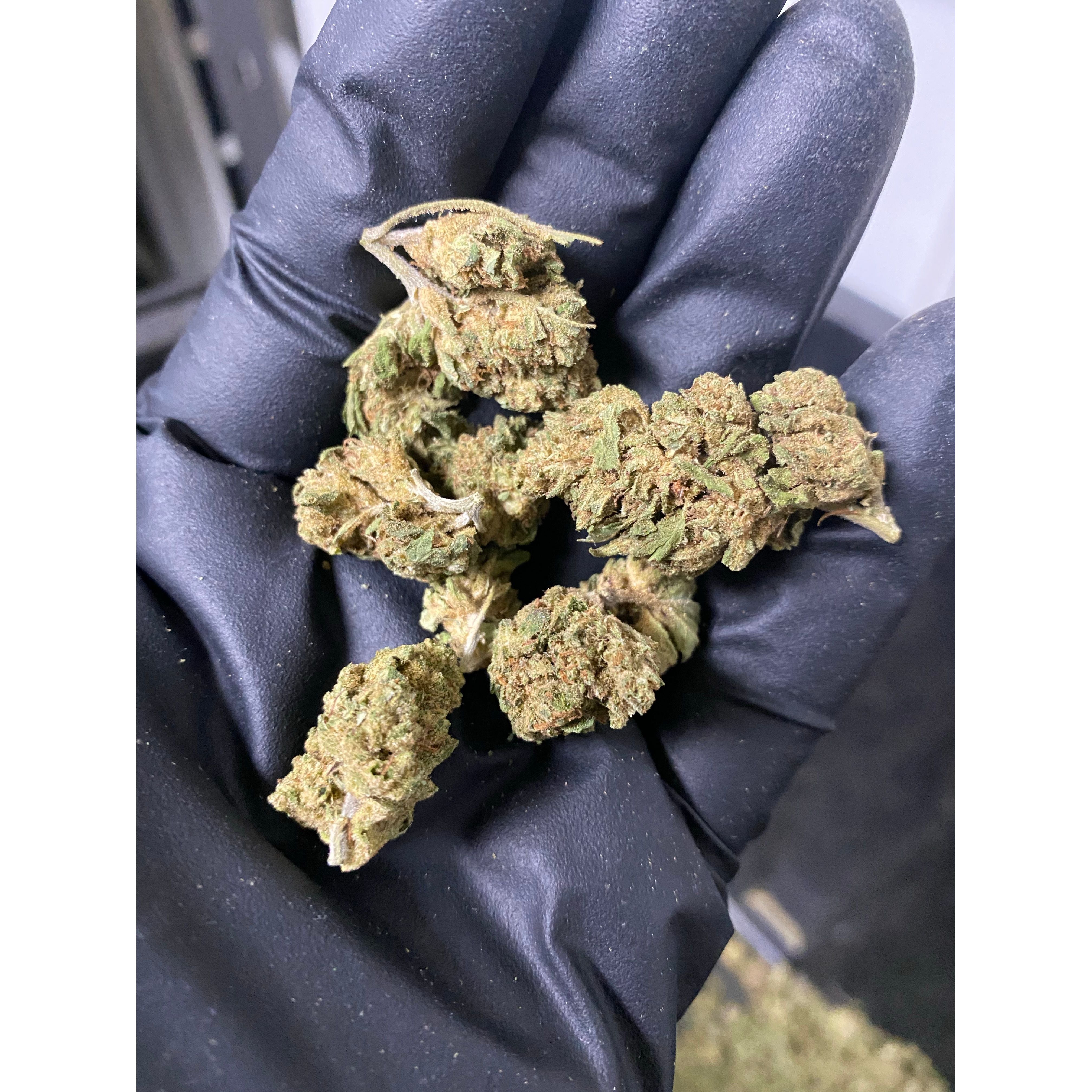 2021 The Wife Hemp Flower