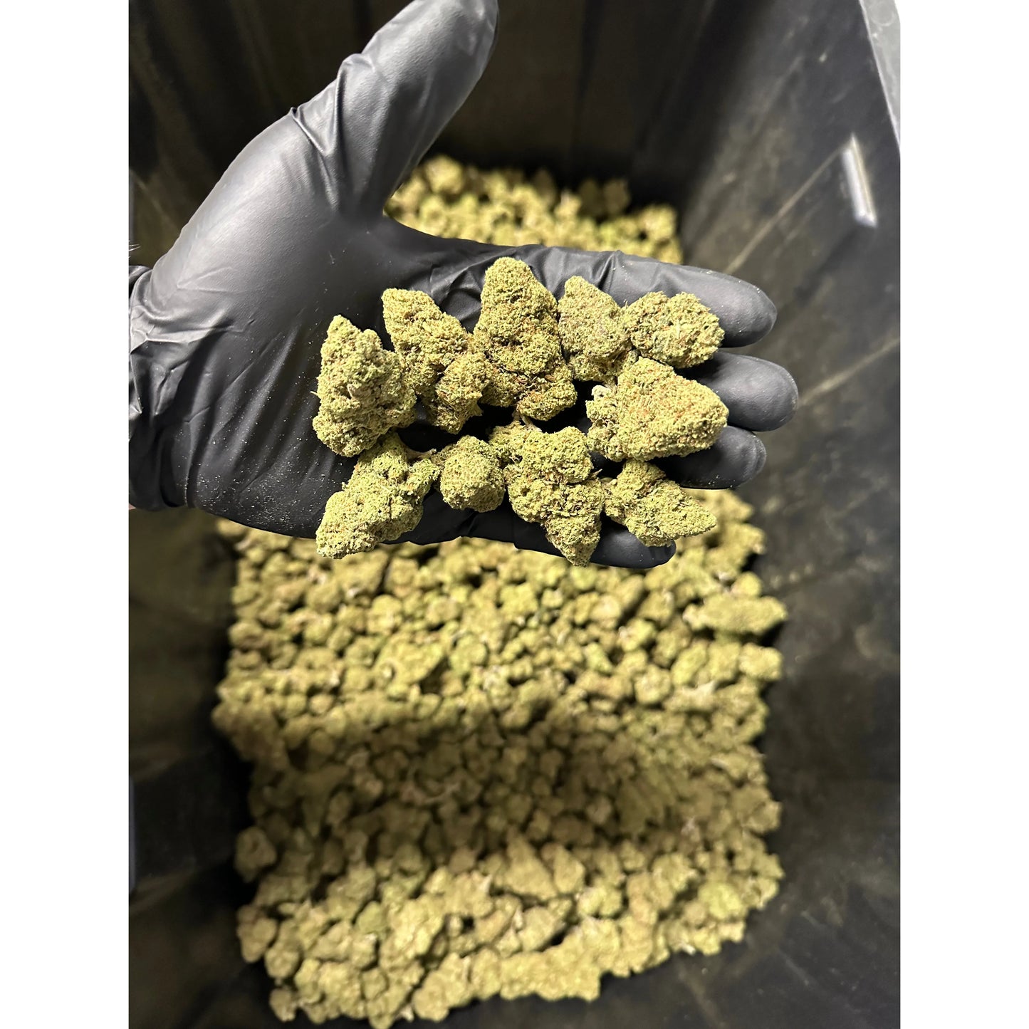 Strawberry Cough Hemp Flower