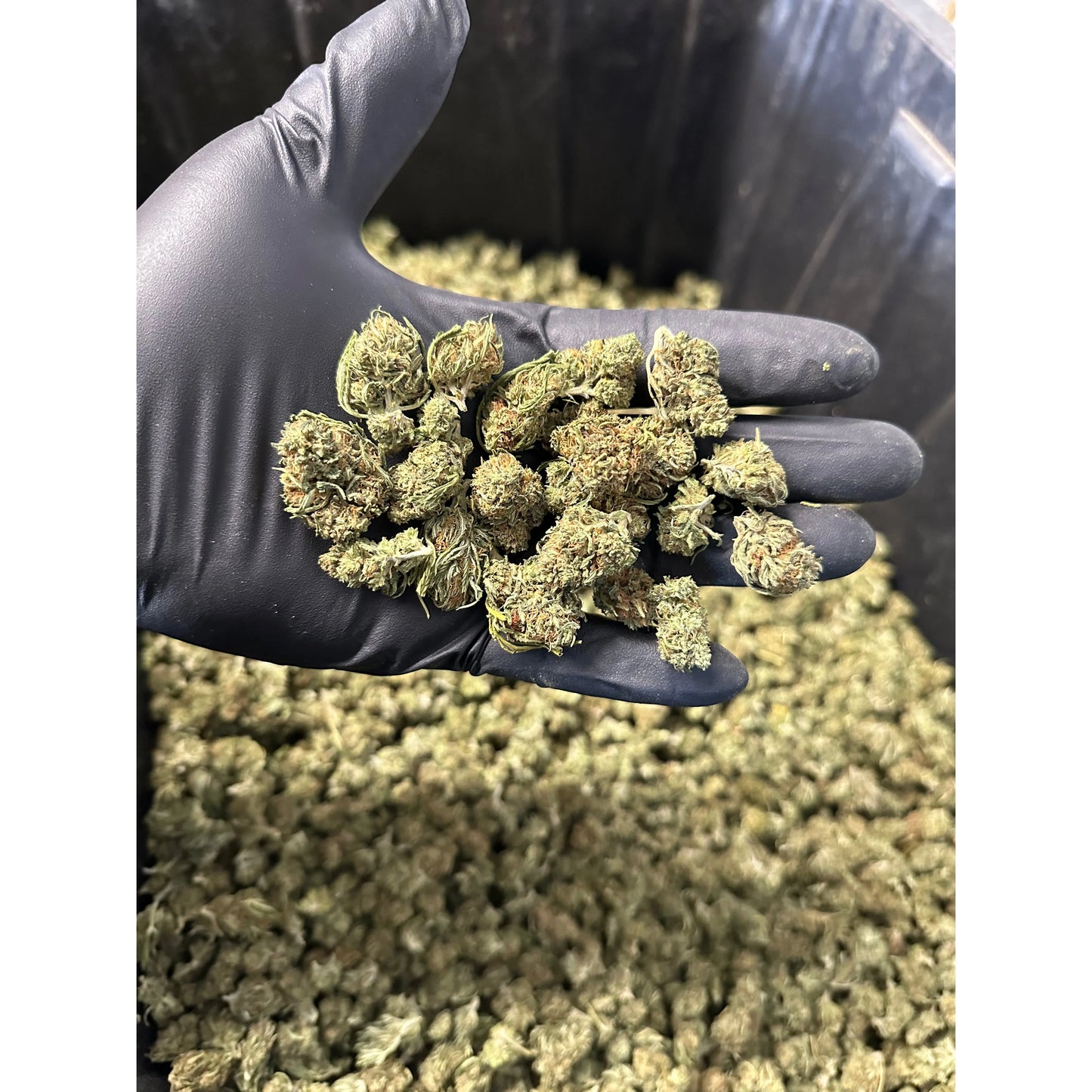 Cake Berry Hemp Flower Smalls