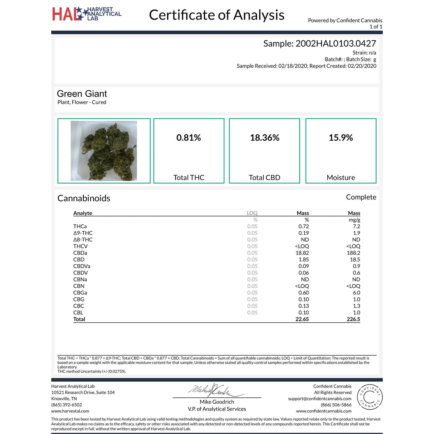 Green Giant Hemp Flower
