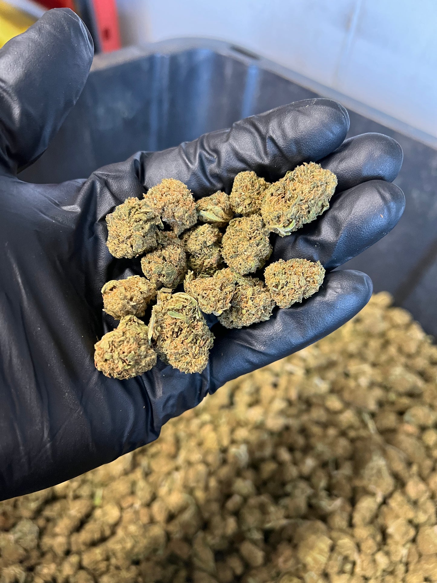 Sweet Diesel Hemp Flower Smalls