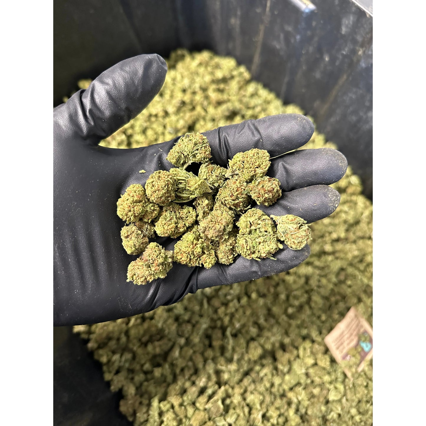 Maui Wowie Hemp Flower Smalls