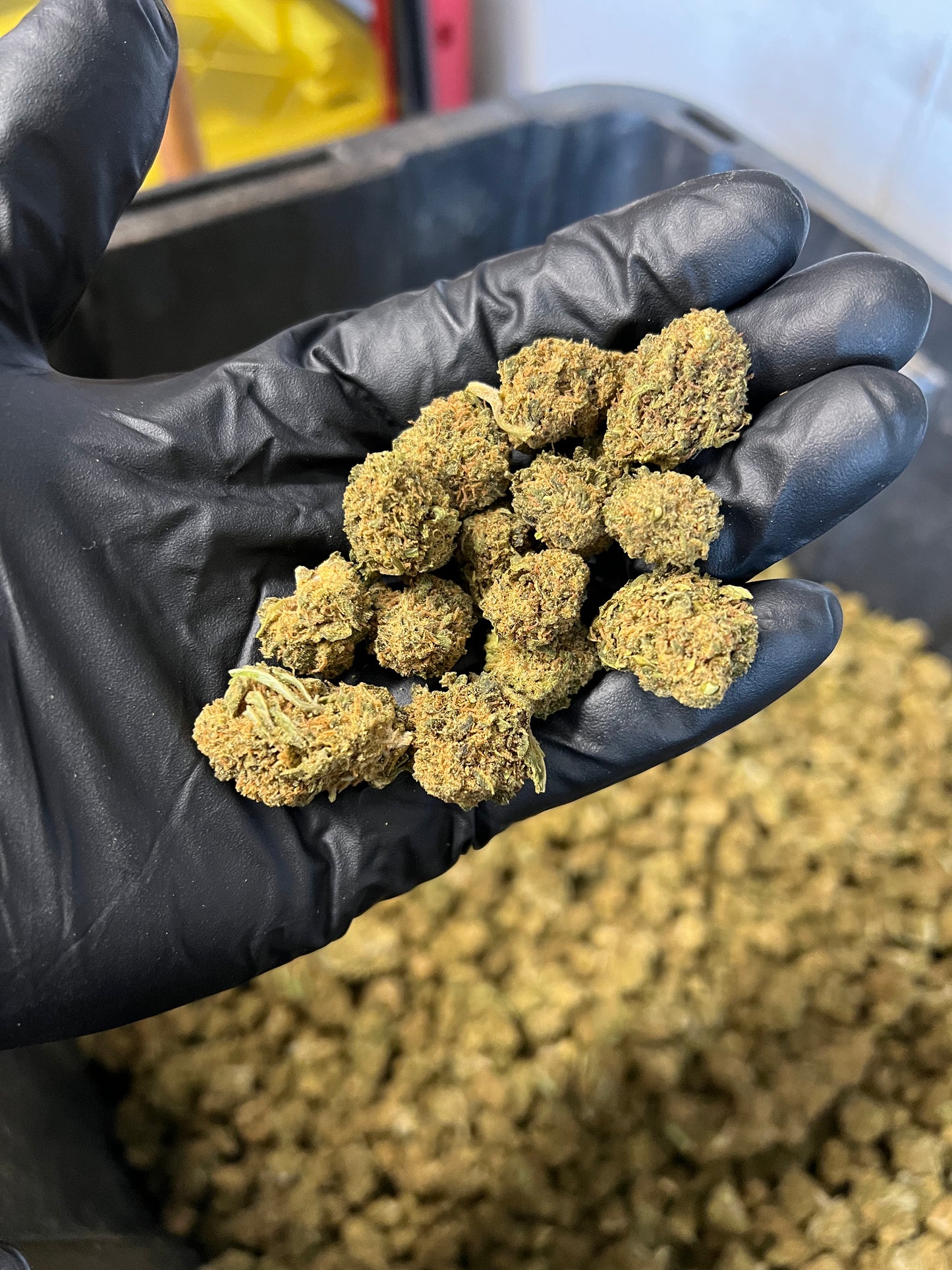 Sweet Diesel Hemp Flower Smalls