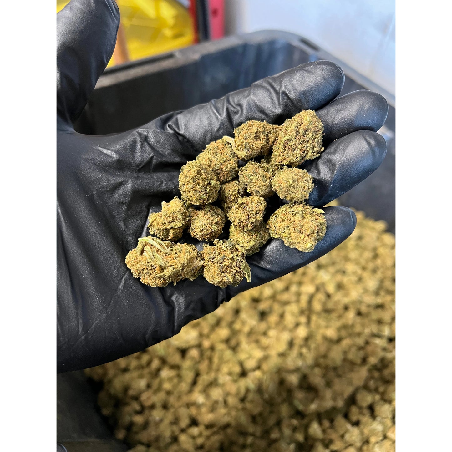 Sweet Diesel Hemp Flower Smalls