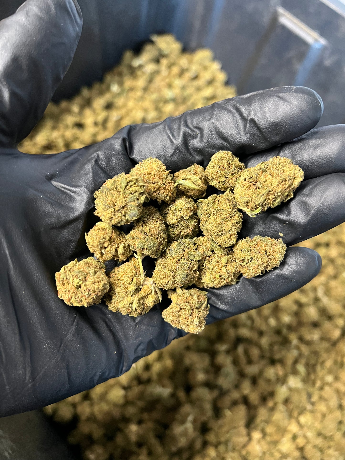 Sweet Diesel Hemp Flower Smalls