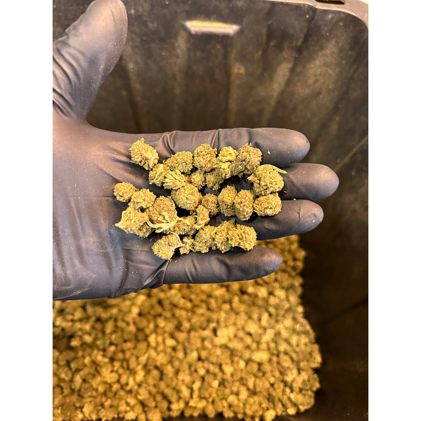 Critical Berry Hemp Flower Smalls