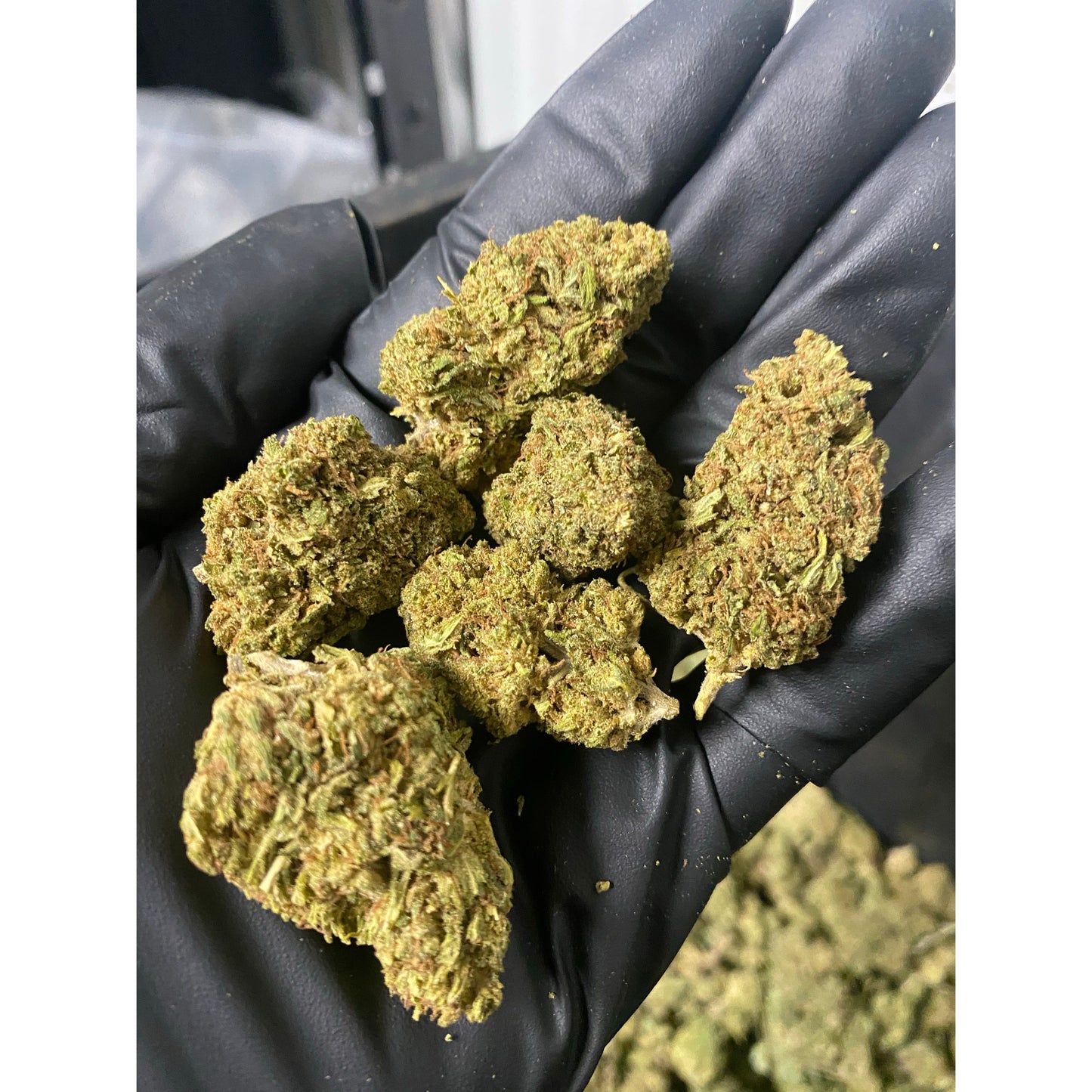 Suver Haze CBD Hemp Flower