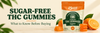 Sugar-Free THC Gummies: What to Know Before Buying
