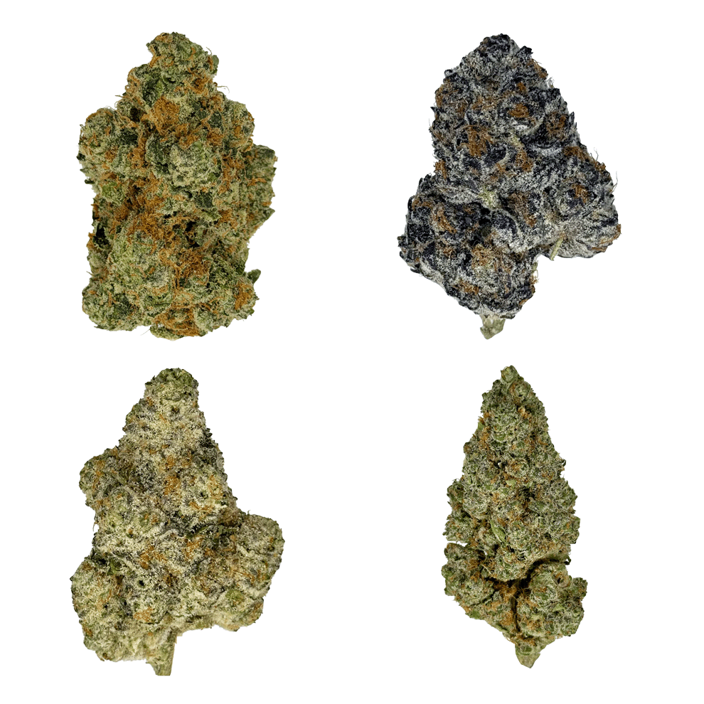 4 Quarter Bundle