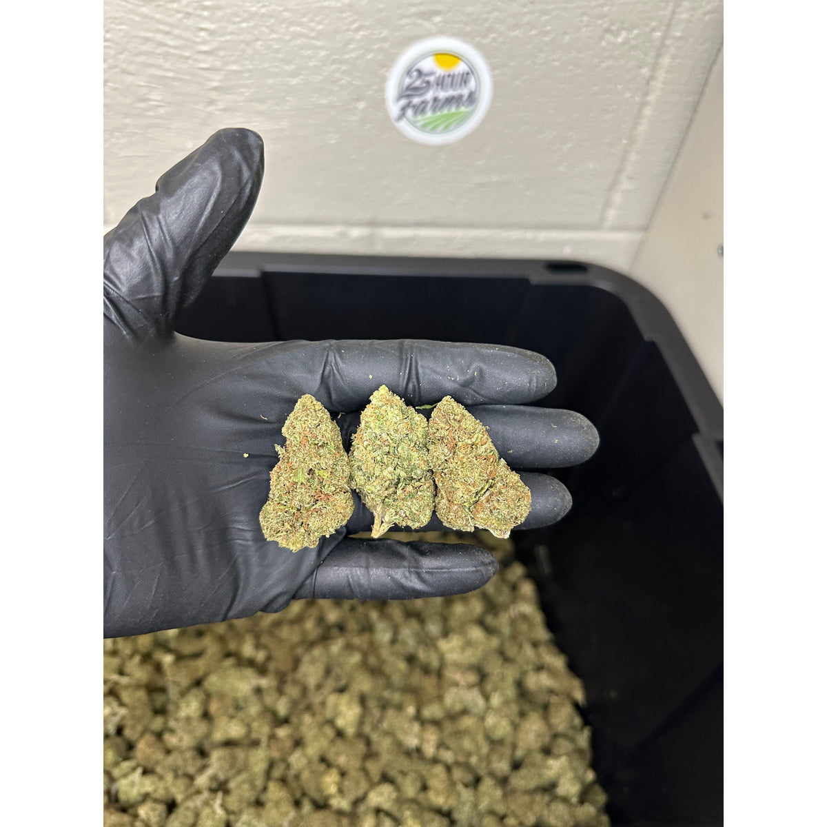 Verts Runtz Lemon Runtz CBD Hemp Flower & 25 Hour Farms