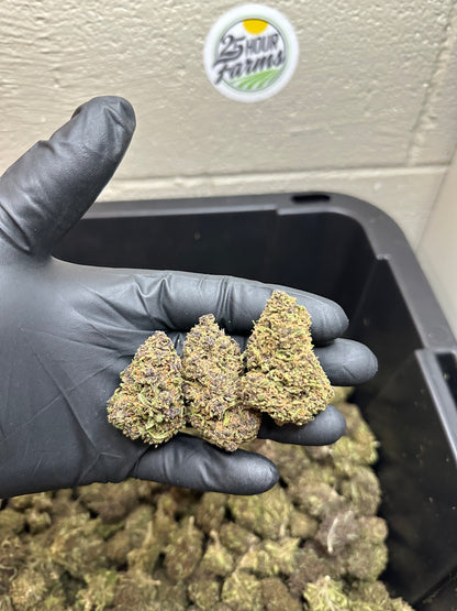  Purple Skunk Hemp Flower