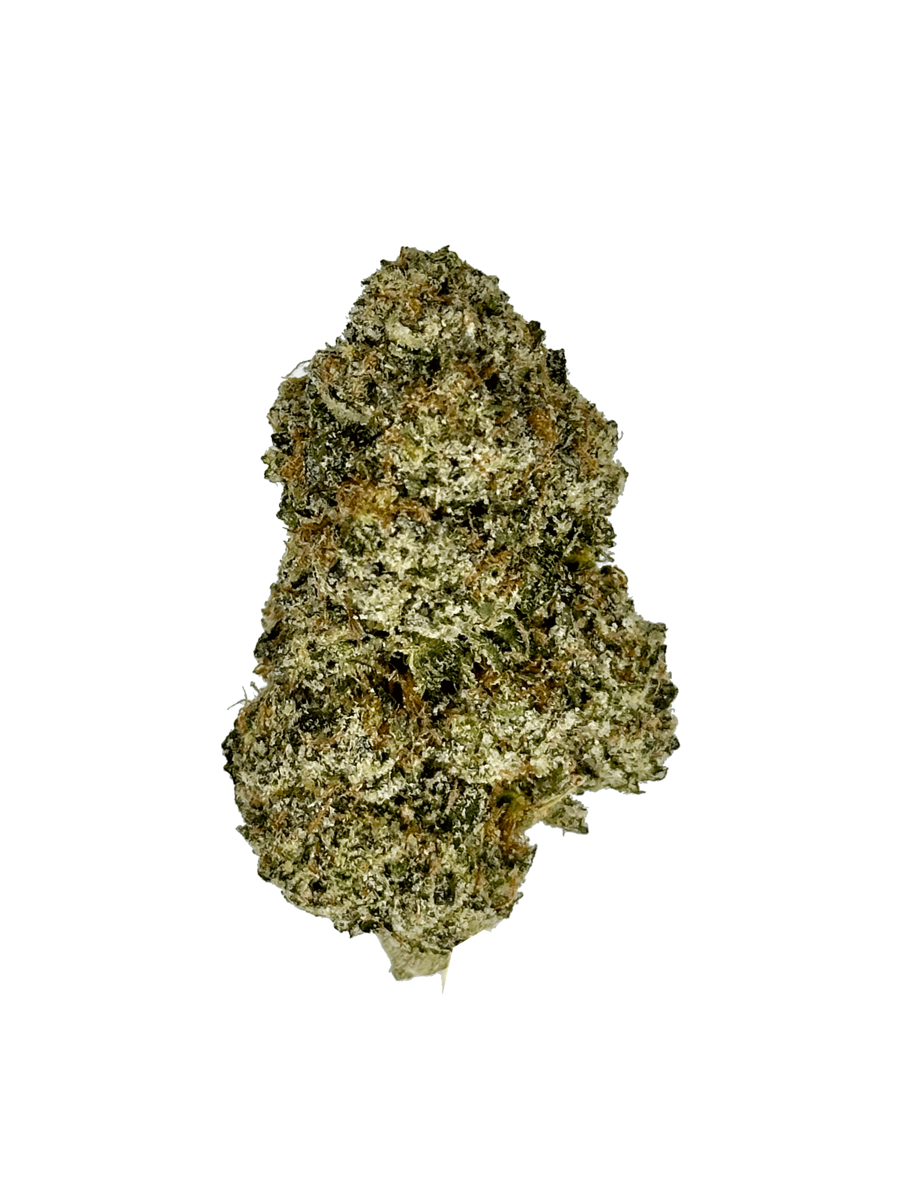 Archive Runtz Strain - THCA Flower by 25 Hour Farms