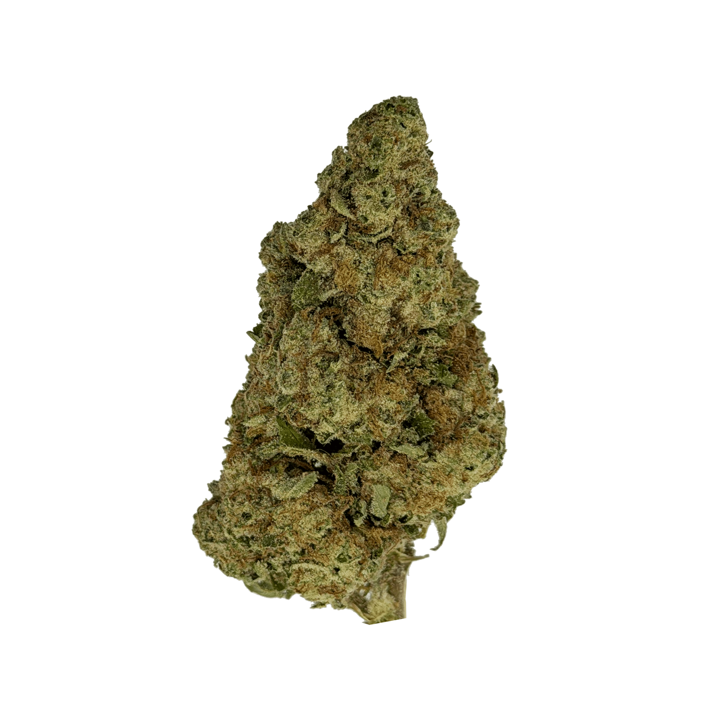 Blueberry Muffin THCA Flower