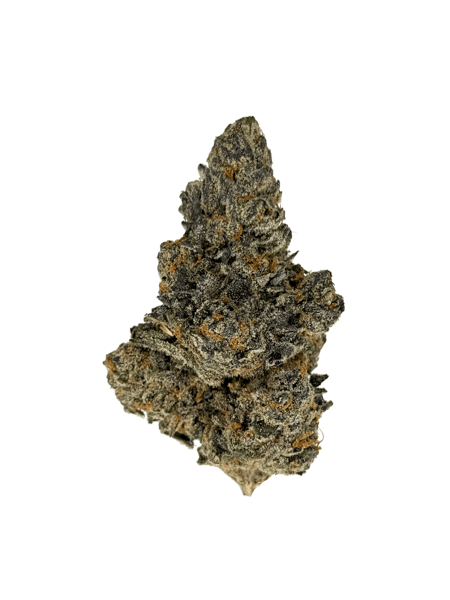 Bacio Gelato THCa Flower