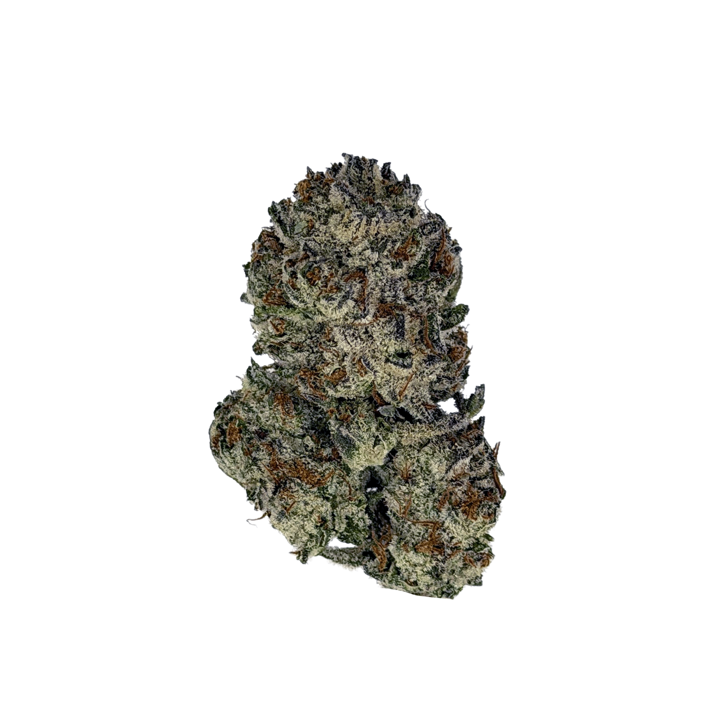 Biscotti Cookies THCa Flower