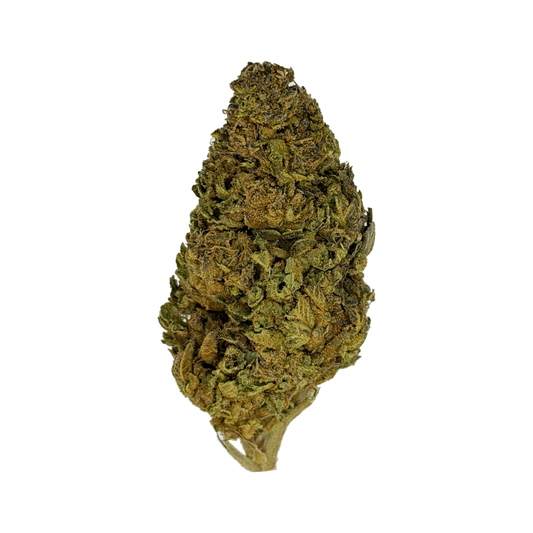 Biscotti THCa Flower