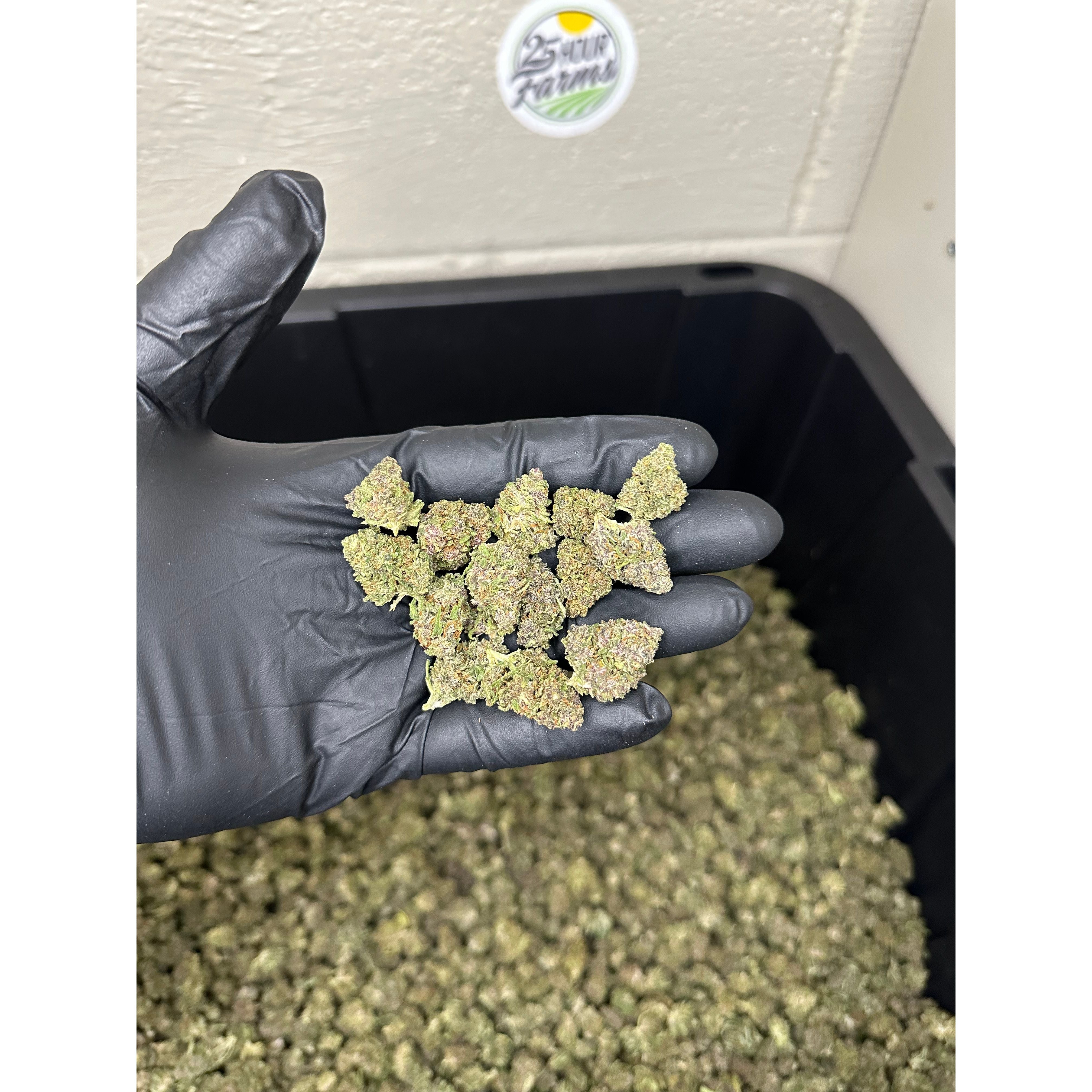 Purple Octane Hemp Flower Smalls