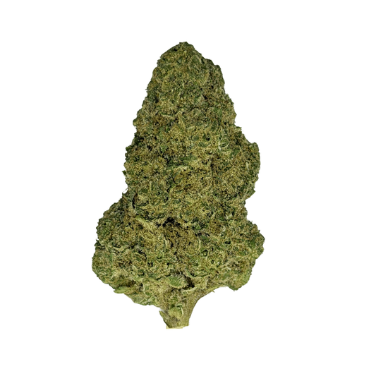 Gorilla Glue 4 THCa Flower