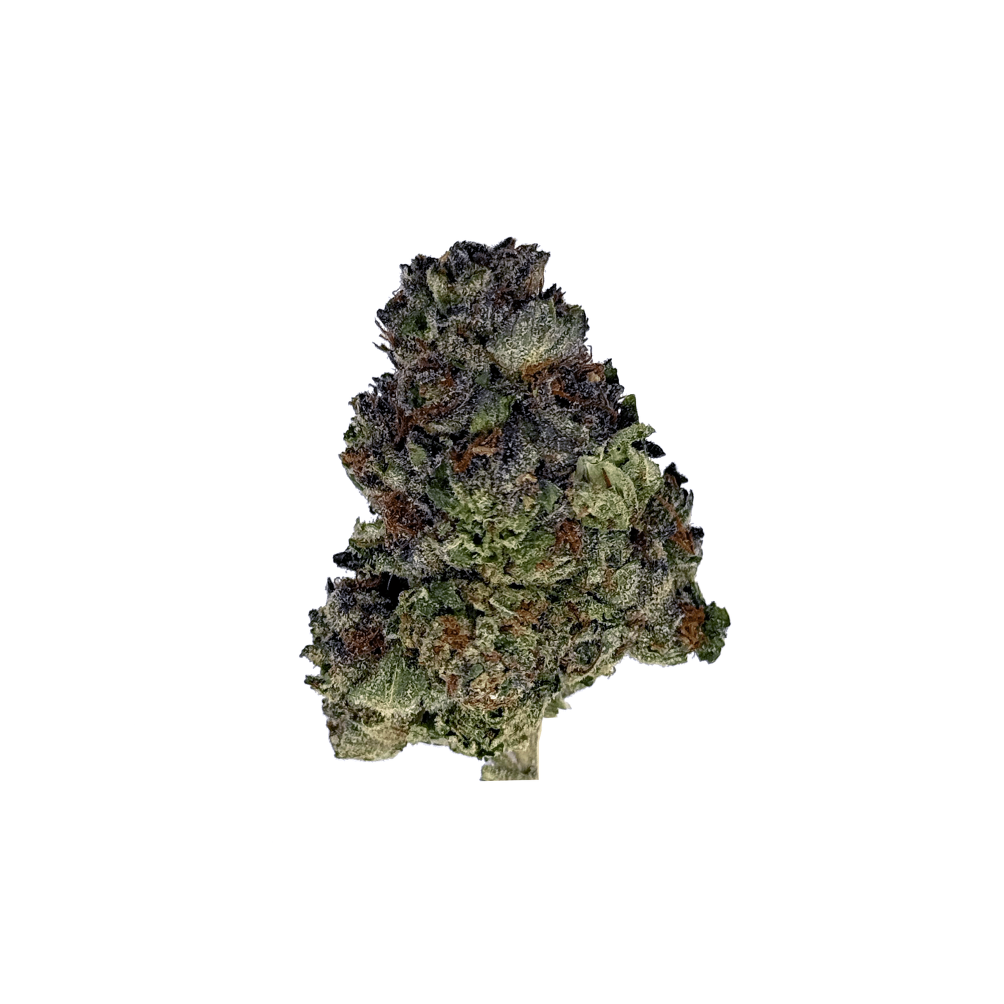 Garlic Cookies THCa Flower