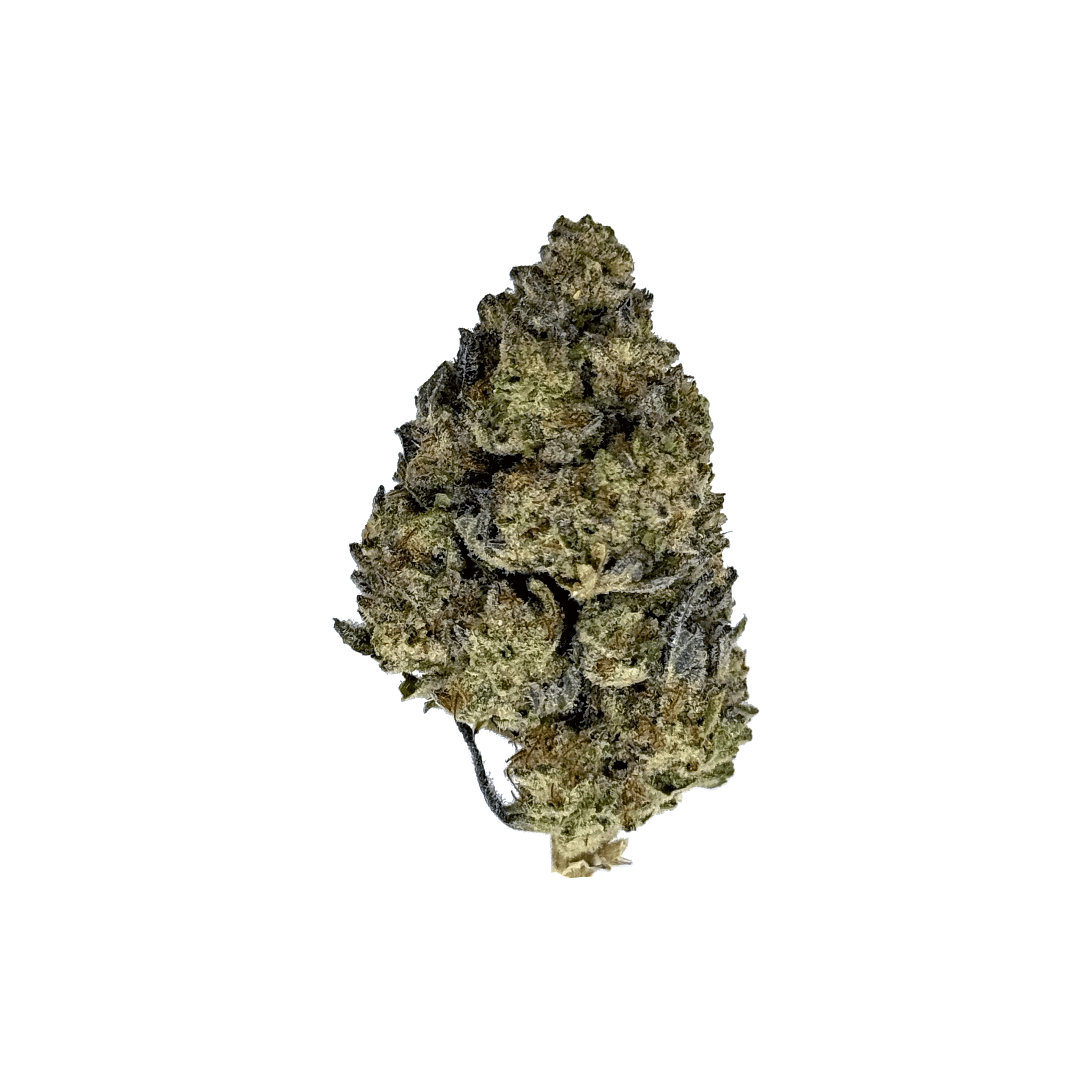 Runtz X Jealousy THCa Flower