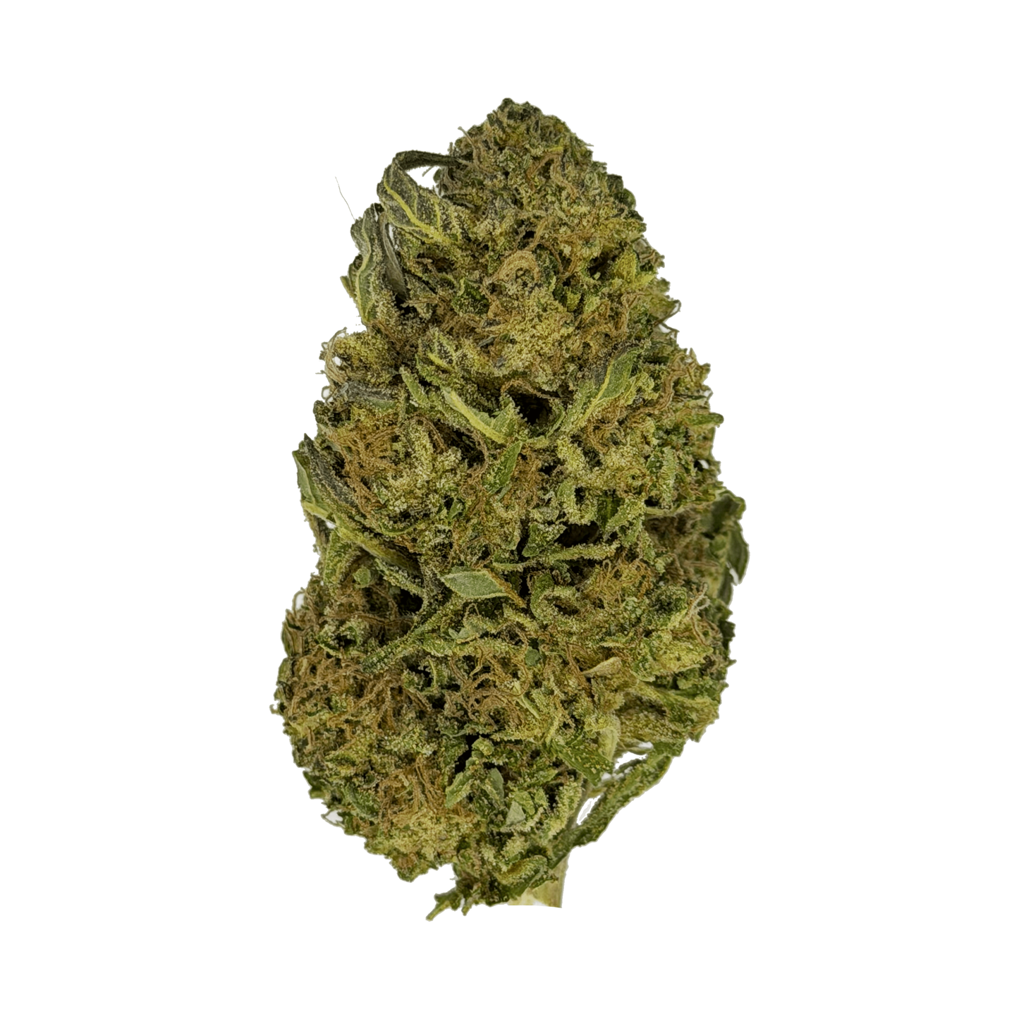 Gelato 44 THCa Flower