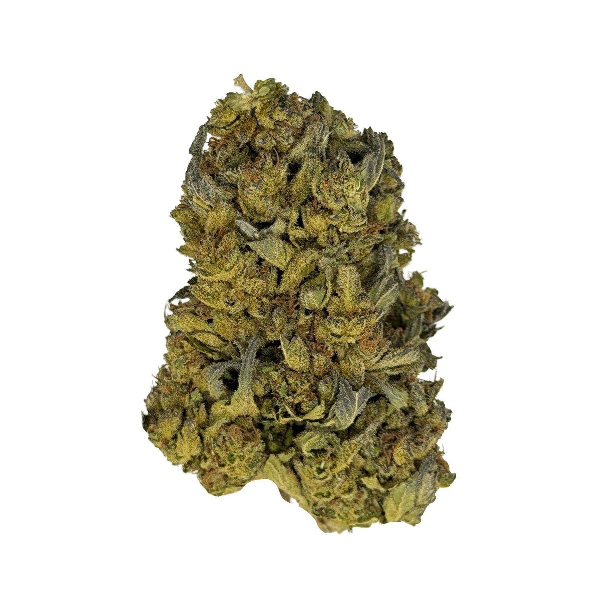 Government Oasis THCA Flower