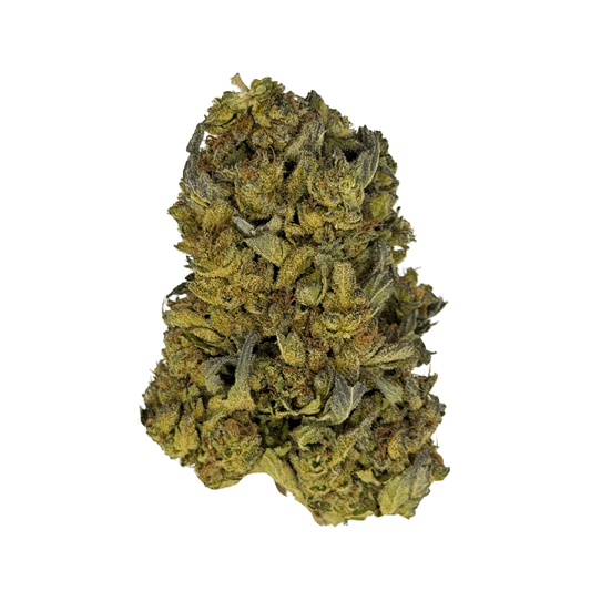 Government Oasis THCA Flower