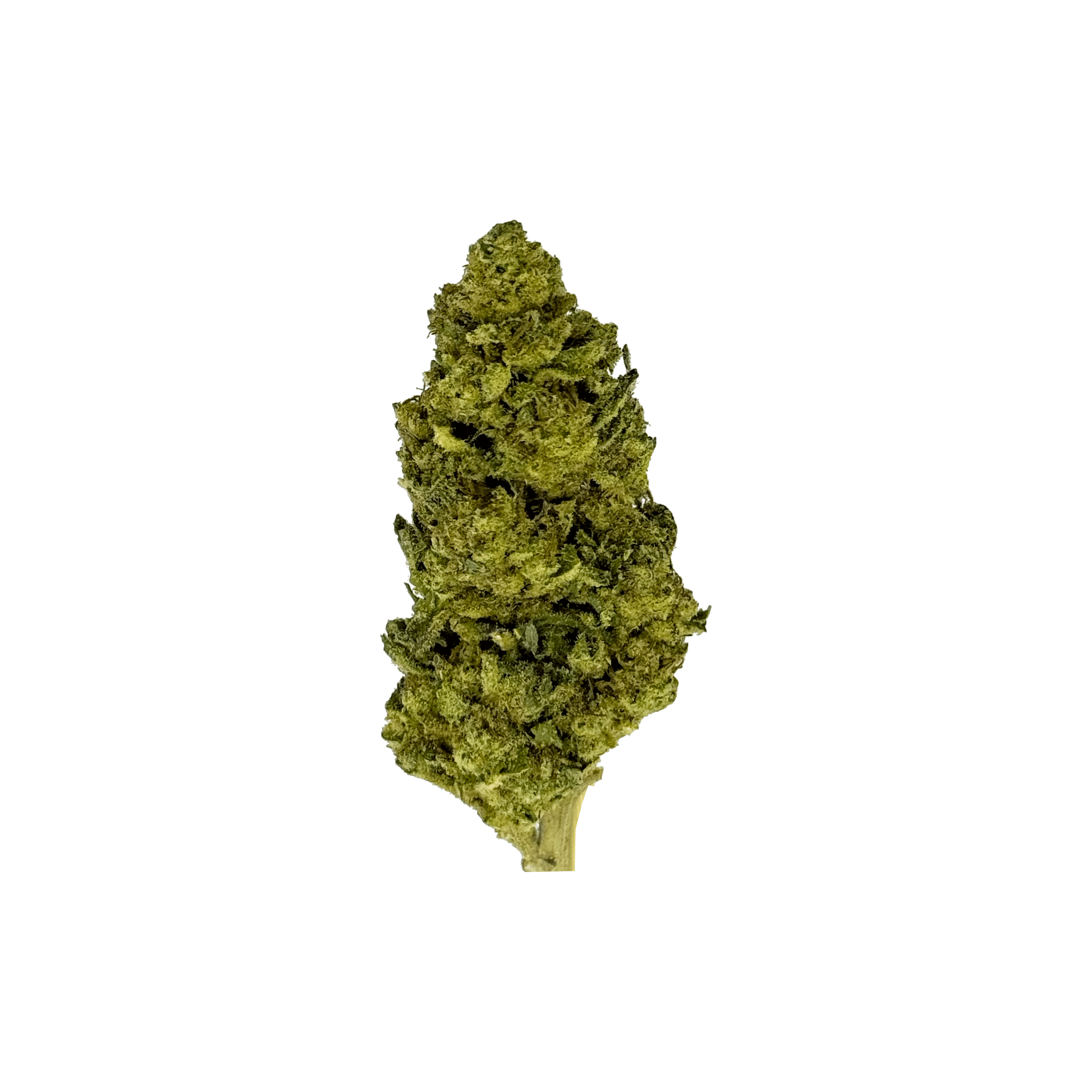 Runtz X Jealousy THCa Flower