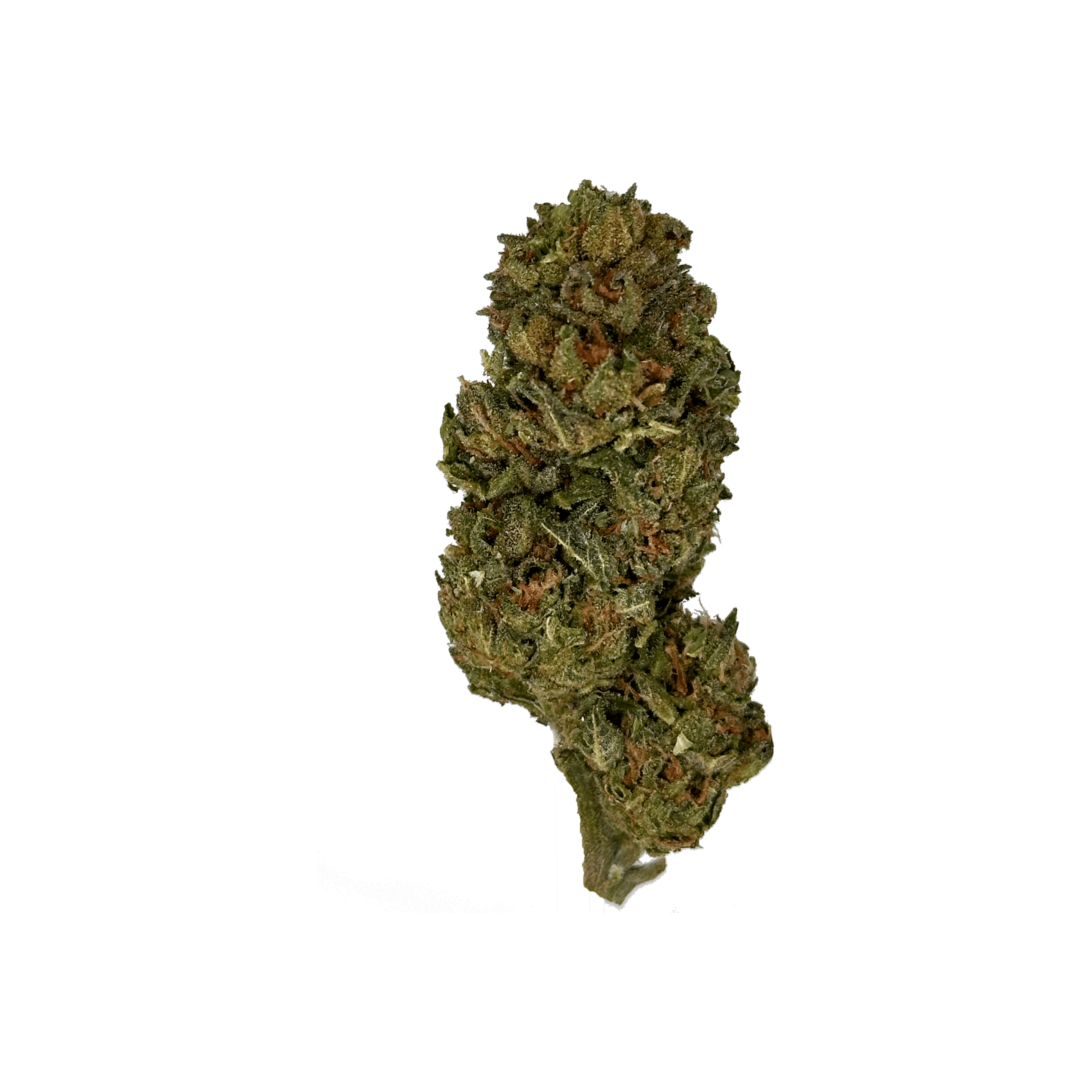 Melon Brains THCa Flower