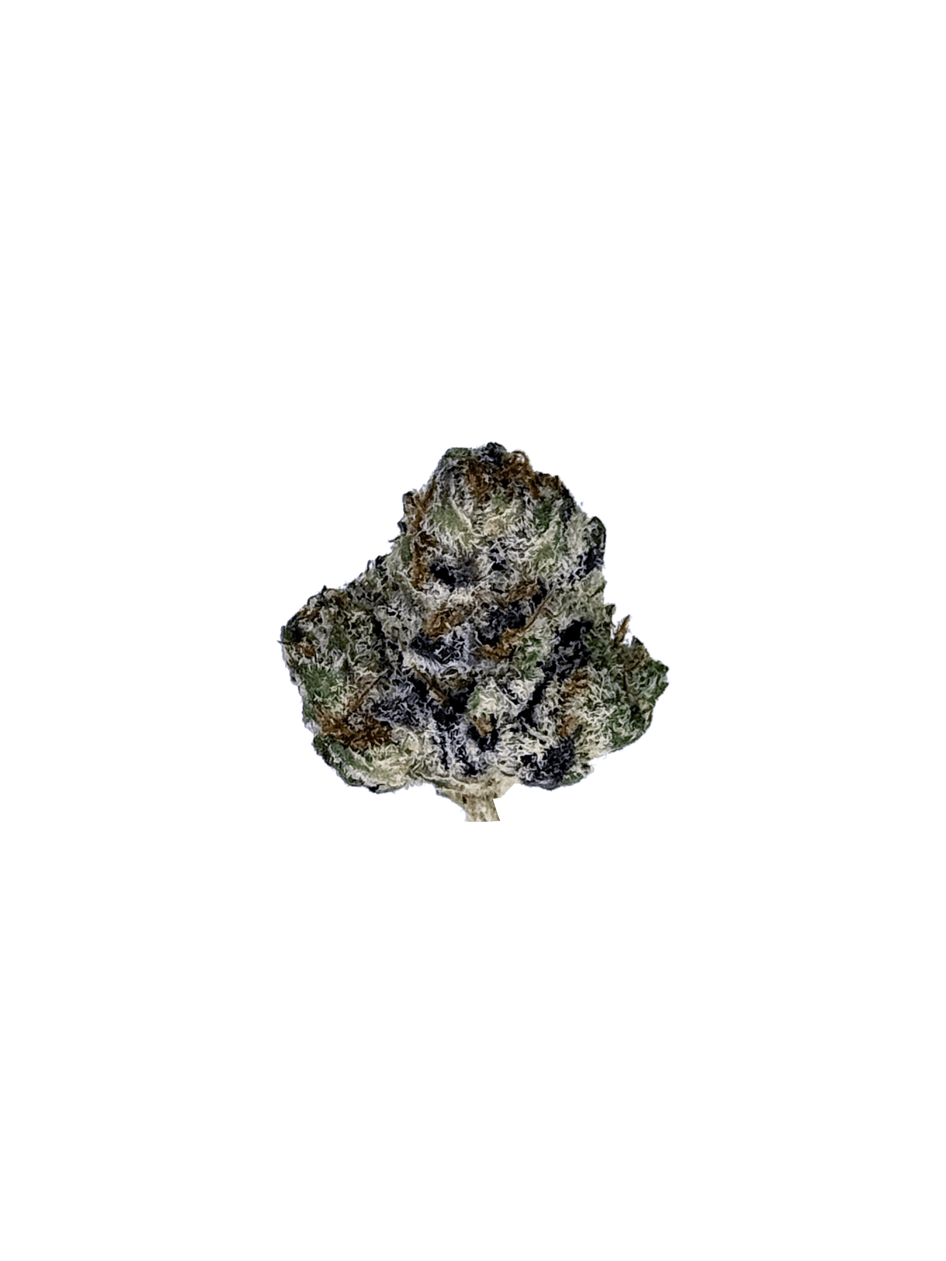 Oreoz THCa Flower Indoor Smalls