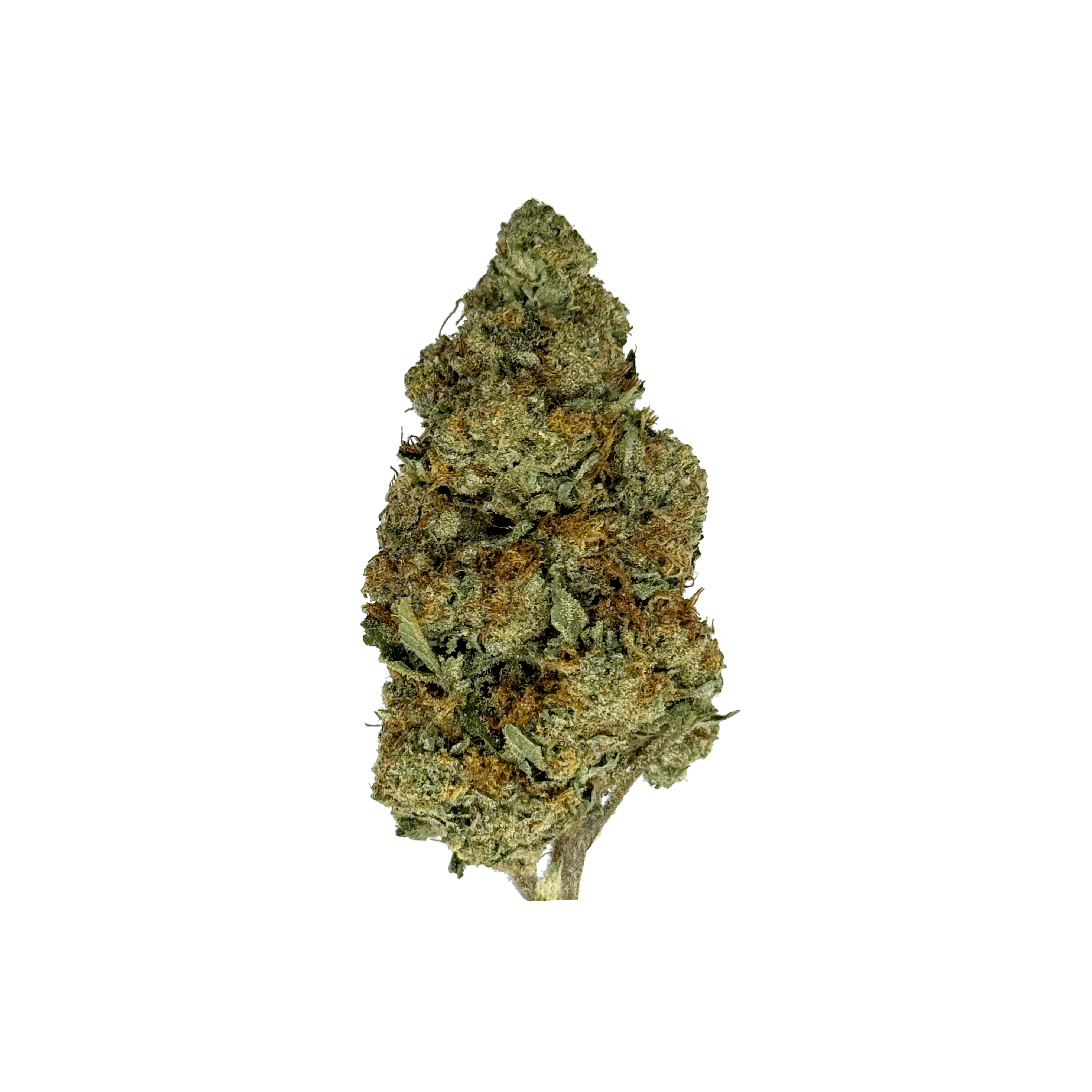 THCa Flower Purple Punch Strain