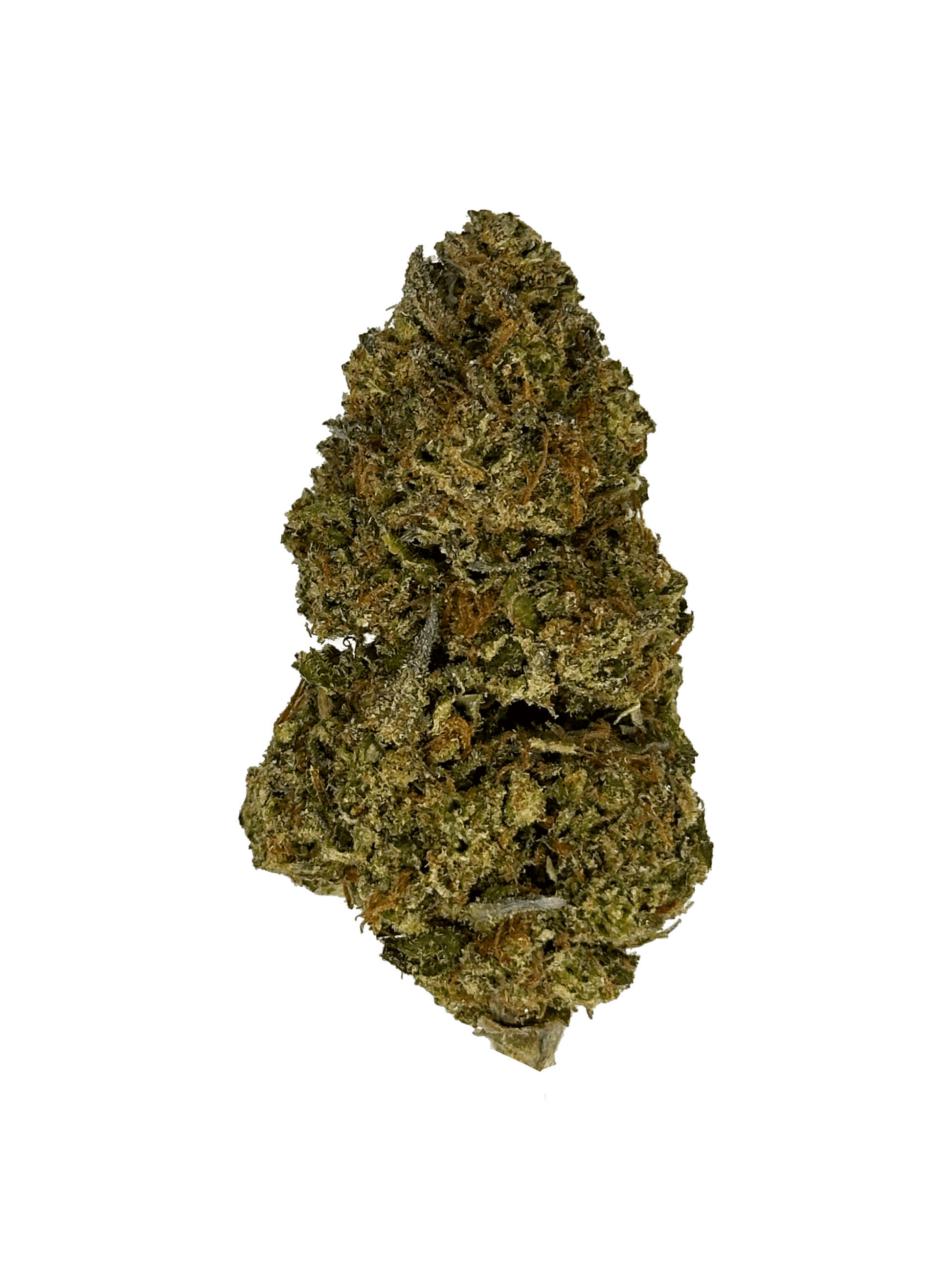 Indoor Red Velvet Runtz strain - THCA Flower