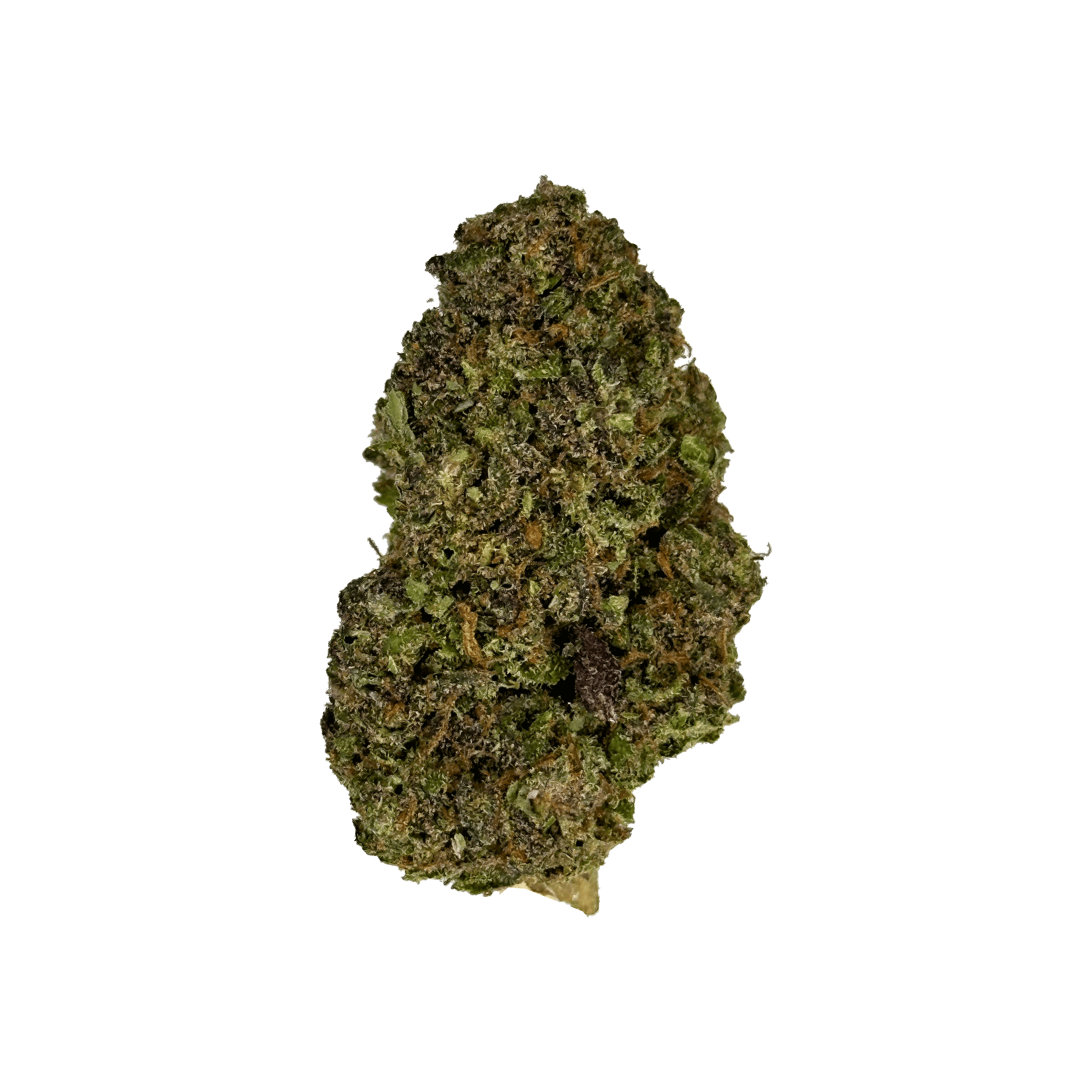 Raspberry Bear Claw Hemp Flower