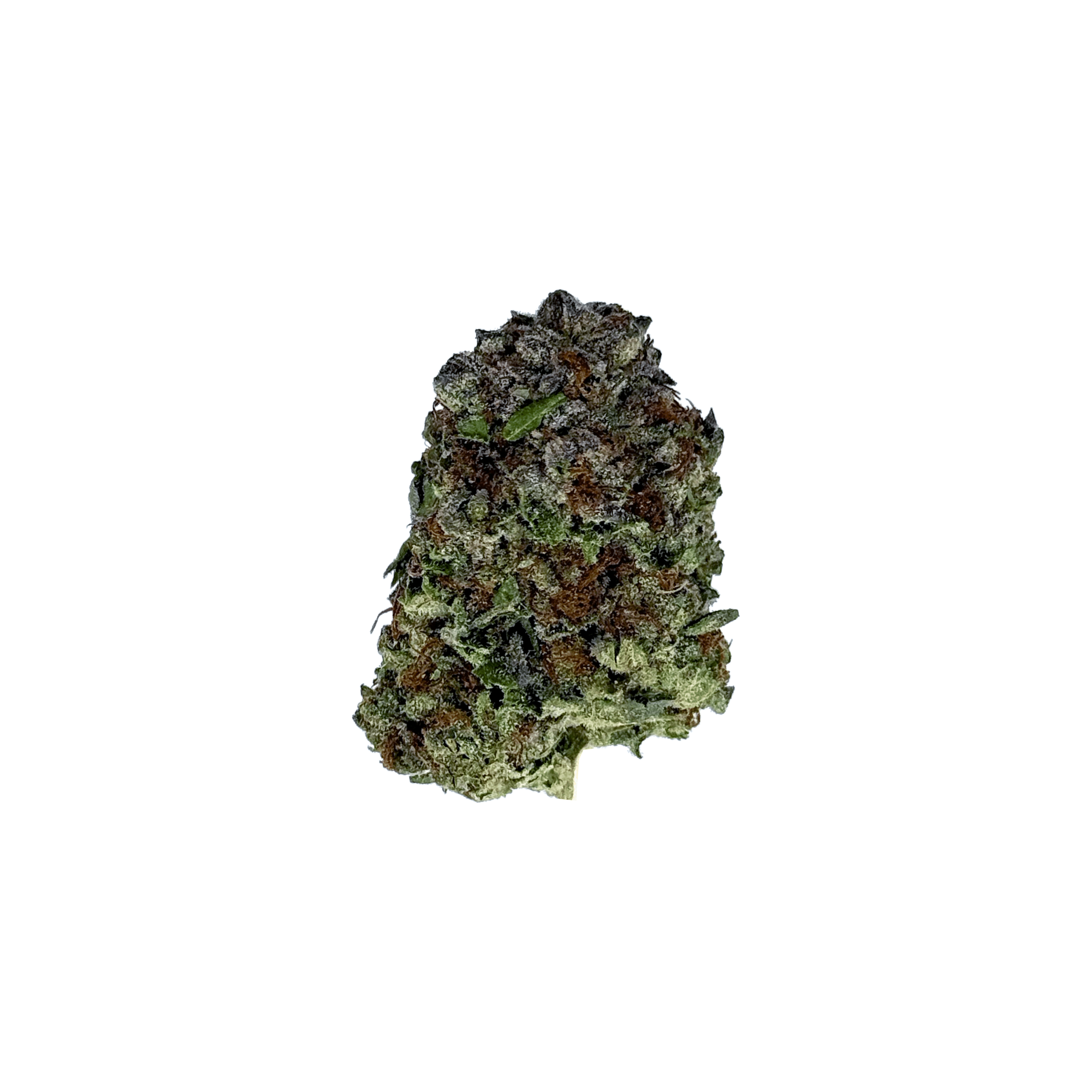 Rainbow Runtz THCa Flower