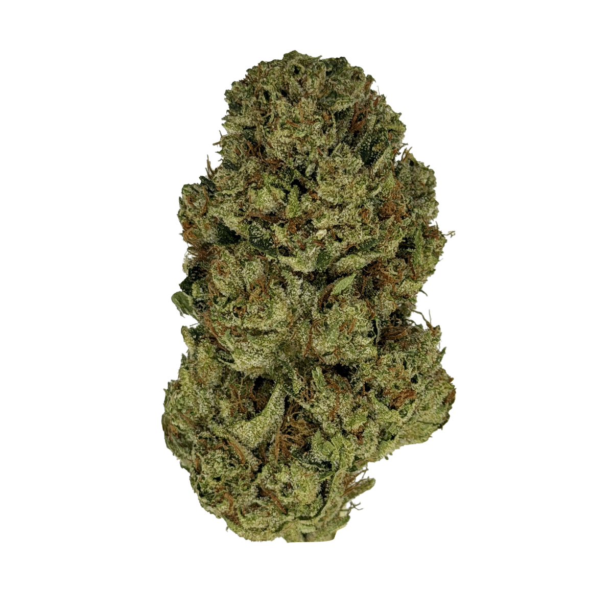 Tropical Gelato THCa Flower