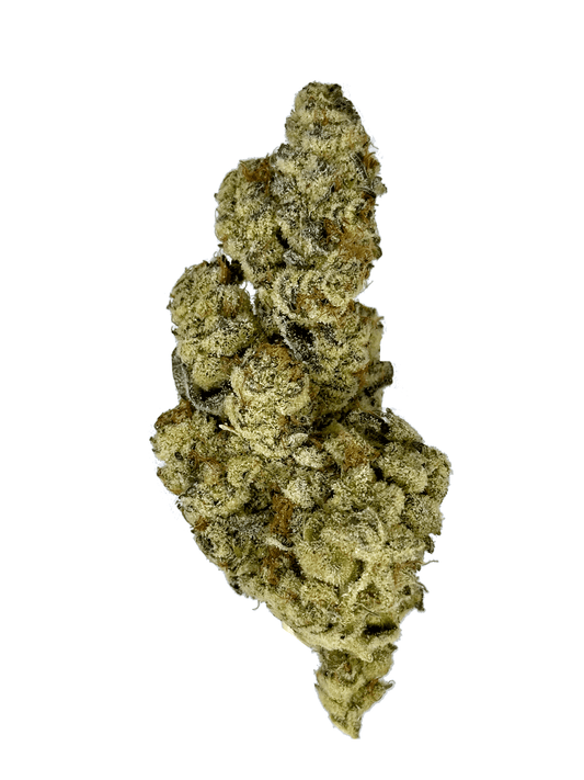 Truffle Cake Strain 