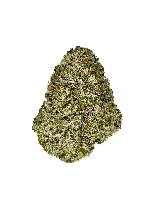 Indoor Trump Runtz strain - THCA Flower