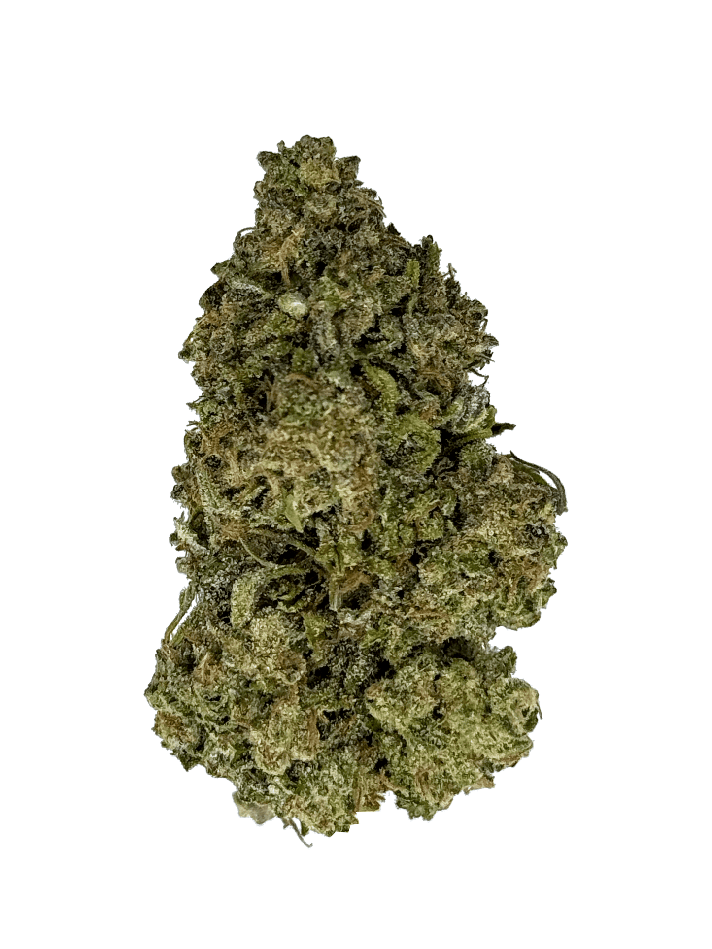 Government Oasis THCA Flower