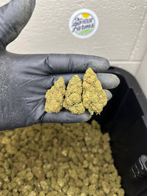 
                  
                    Load image into Gallery viewer, Cherry Limeade CBD Hemp Flower
                  
                